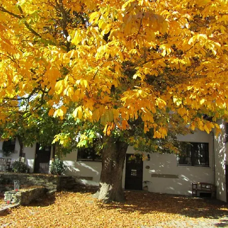 Bio Erzengel Apartment